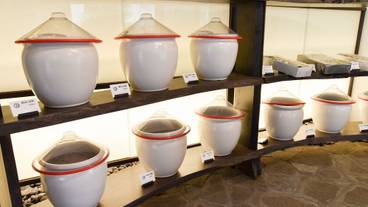 施設の敷地 / 27