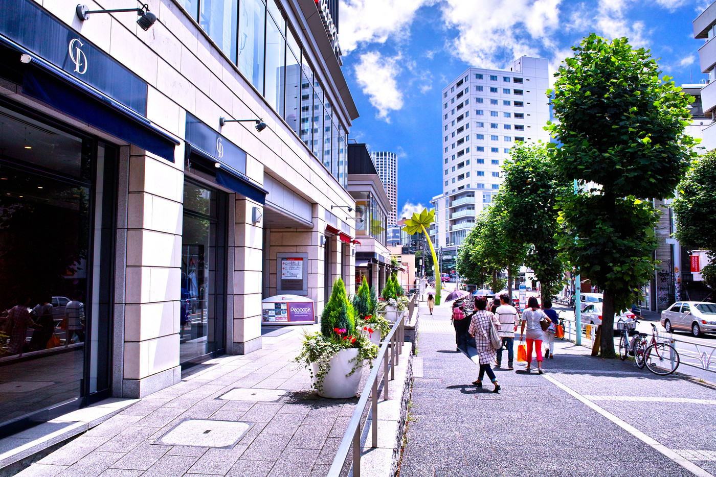 代官山の店舗