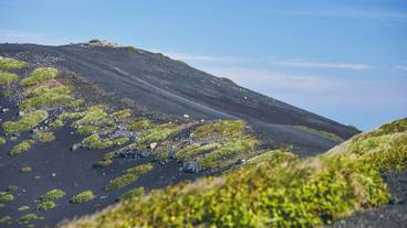 施設からの眺望 / 18