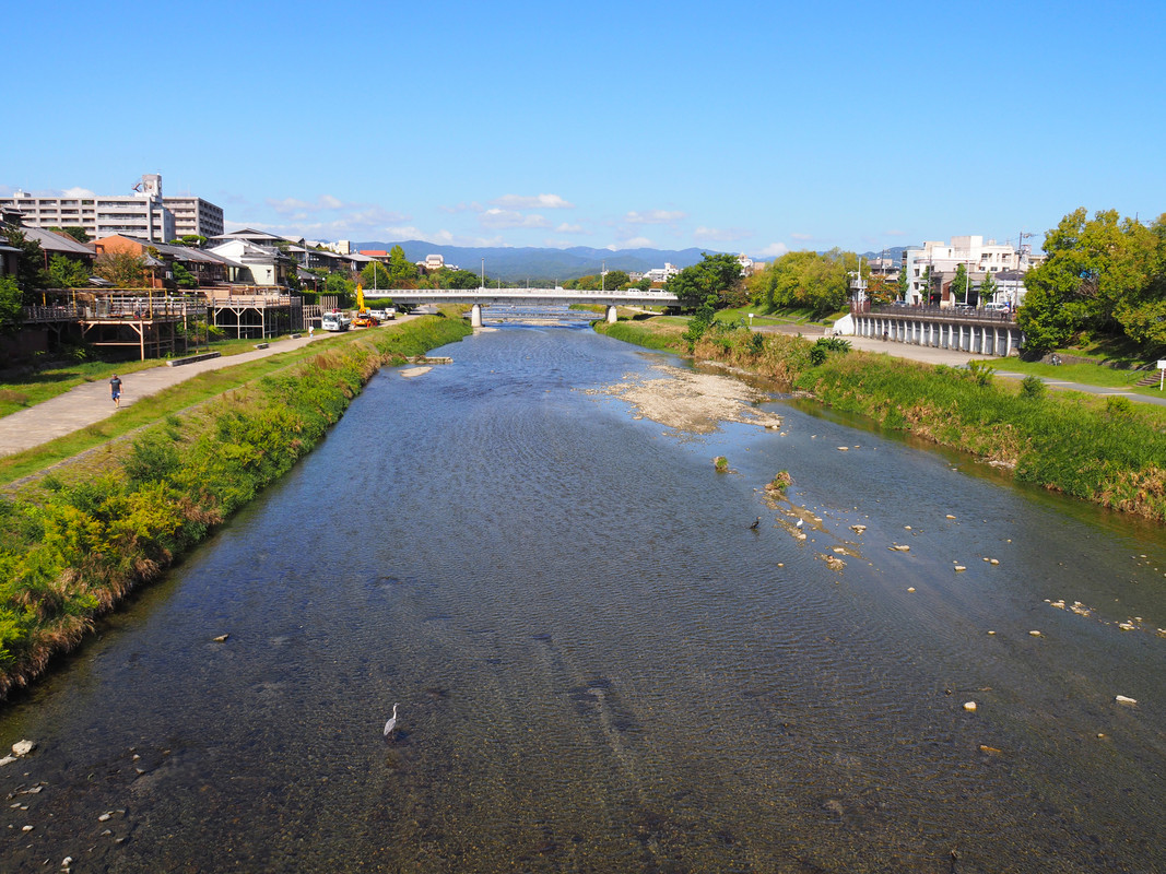 鴨川 御池大橋