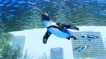 ショッピングモール / 1