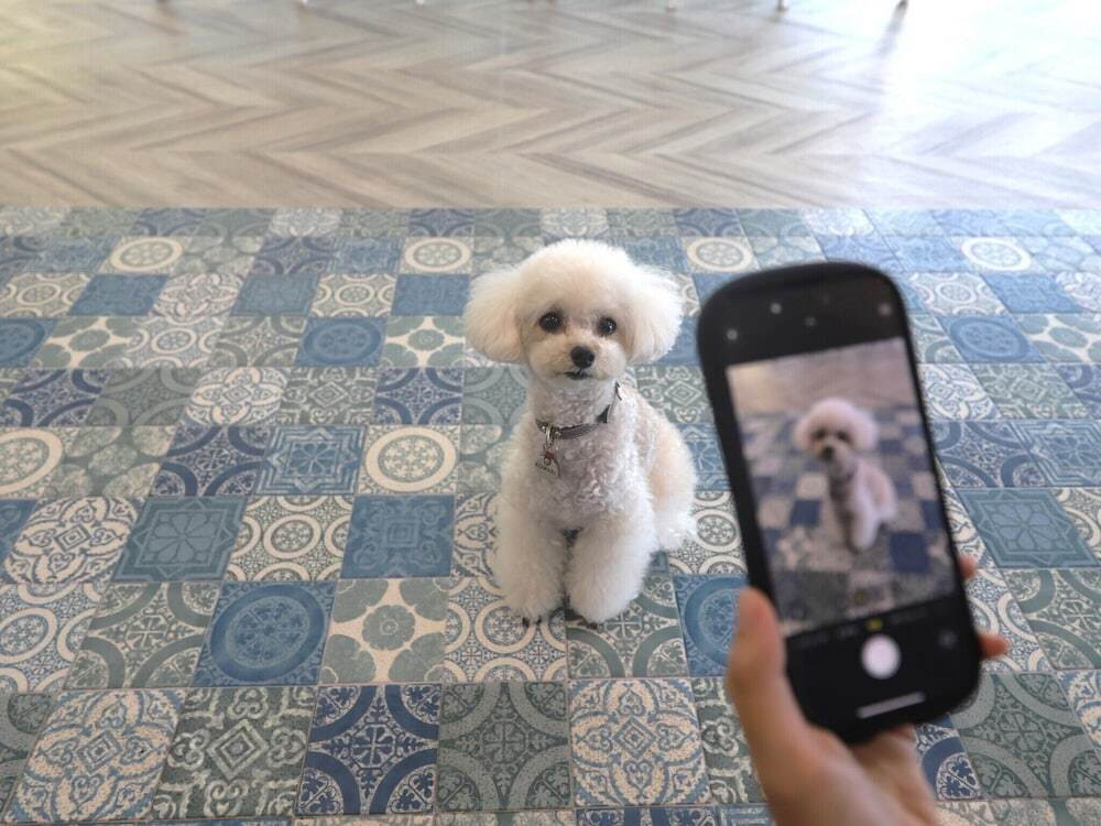 ペット用設備・サービス