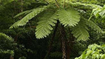 マウンテン ビュー / 19