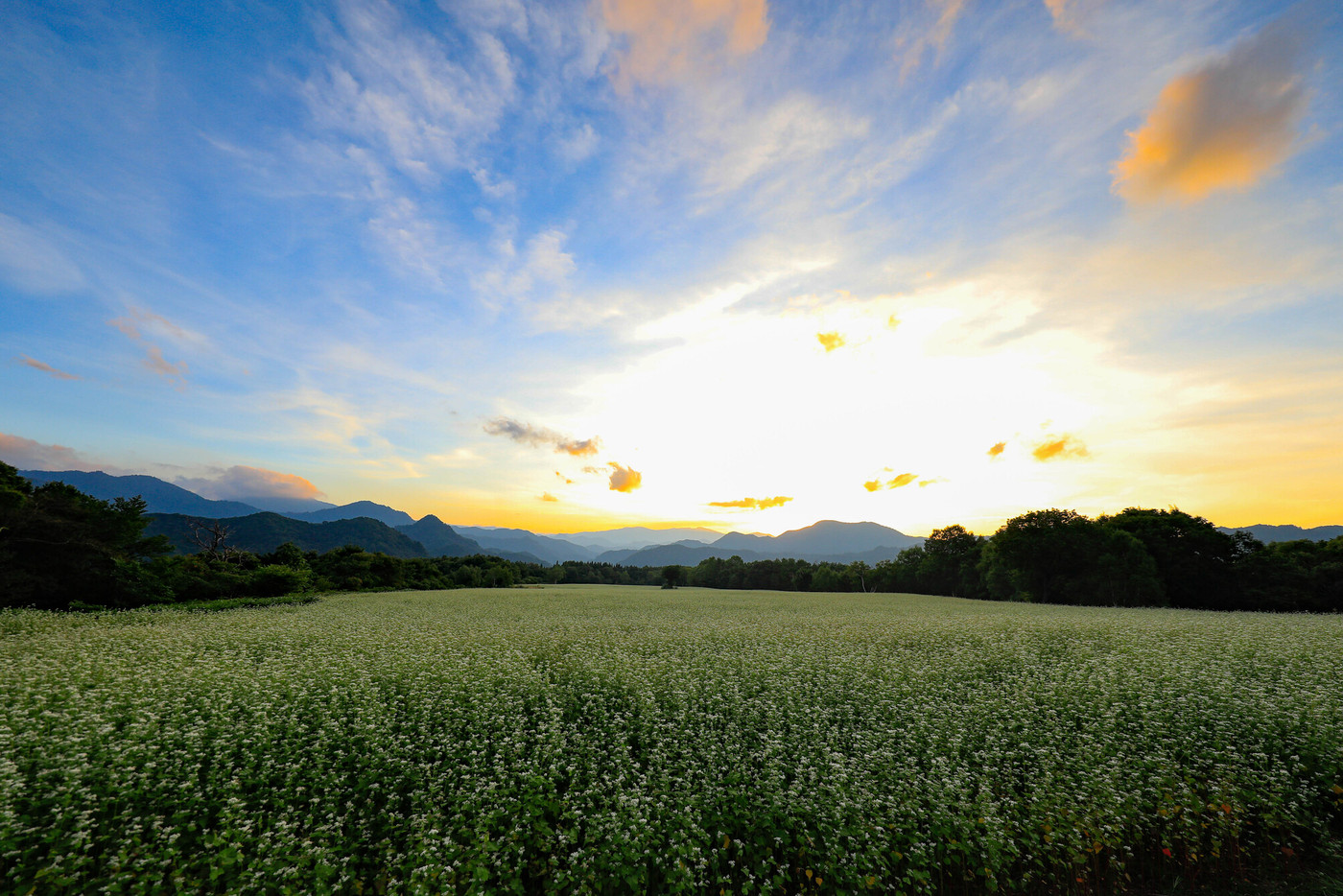 他とは違う特別なグルメ旅ができる、福島県2017033