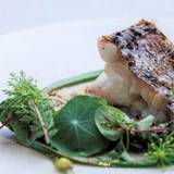 ディナー一例 / 1