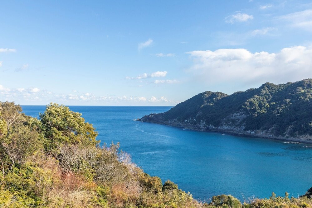 ビーチ / オーシャン ビュー