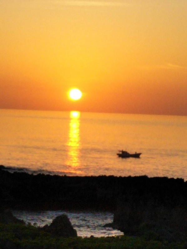 施設からの眺望