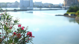 デラックス 4 人部屋