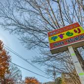 温泉ゲストハウス やすもり（ONSEN YASUMORI）（岩手県 ゲストハウス・ホステル・ドミトリー） / 5