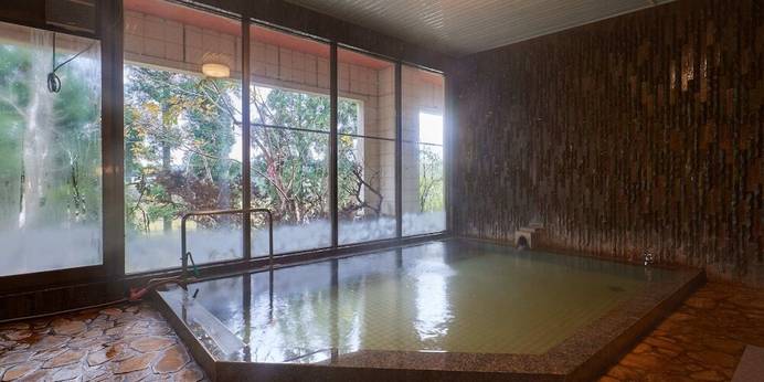 ハヤマ荘（新潟県 民宿） / 1