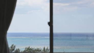 ビーチ / オーシャン ビュー / 4