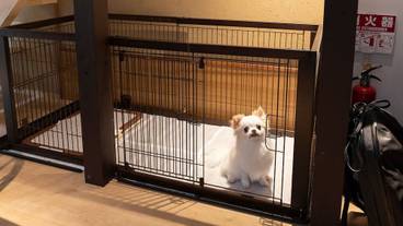 ペット同伴可 / 3