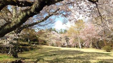 施設の敷地 / 26