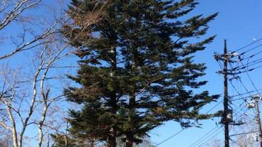 施設の敷地 / 16