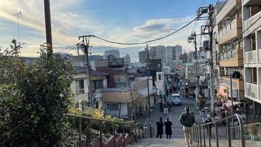 施設からの眺望 / 25