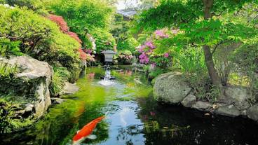 庭園 / 17