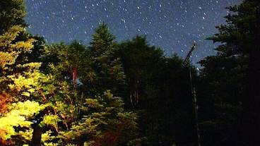 施設からの眺望 / 16