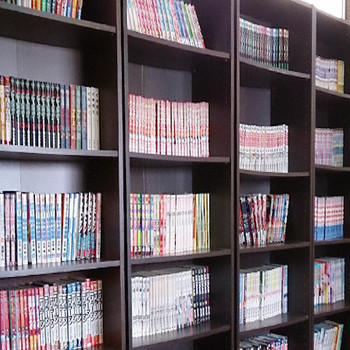 漫画読み放題♪和室もあるビジネスホテル3413707