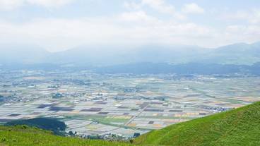 観光スポット / 16