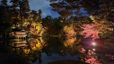 ランド ビュー / 5