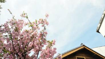 施設からの眺望 / 17