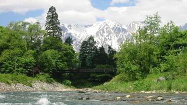 マウンテン ビュー / 16