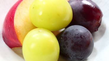 食事・飲み物 / 5