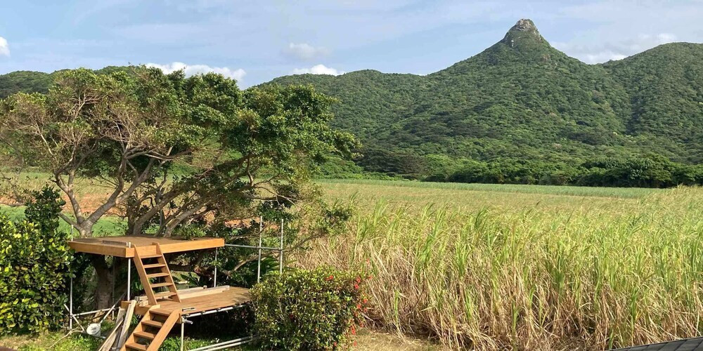 施設からの眺望