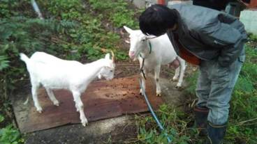 施設の敷地 / 22