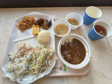 東横イン広島駅前大橋南 / 5