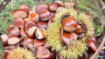 施設からの眺望 / 33