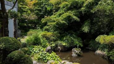 日本庭園 / 33