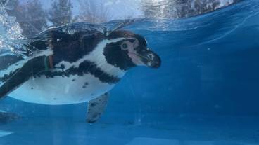 観光スポット / 11