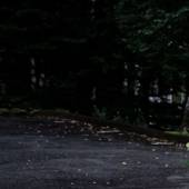 Annie Hills アニーヒルズ(山梨県 ペンション) / 3