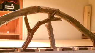 女性専用 洋室フォースルーム (2段ベッド2台) 禁煙