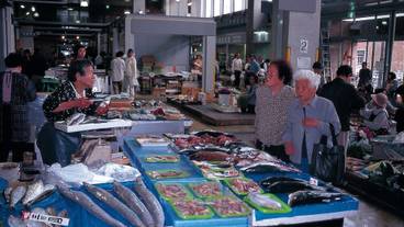 観光スポット / 26