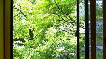 施設からの眺望 / 39