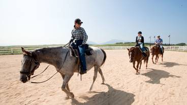 施設の敷地 / 12