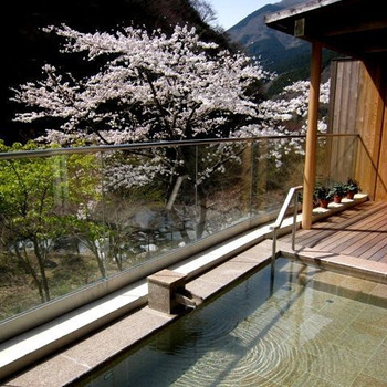 開放的な展望露天風呂もご一緒に♪3443356