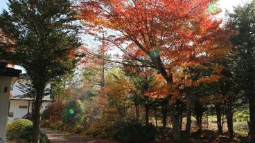 施設の敷地 / 30