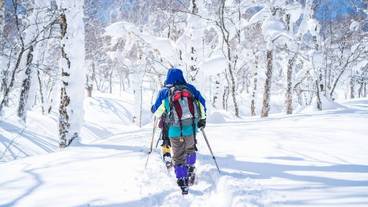 スノーシュー / 4