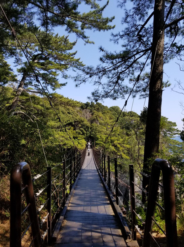 城ケ崎海岸・橋立つり橋 / 3
