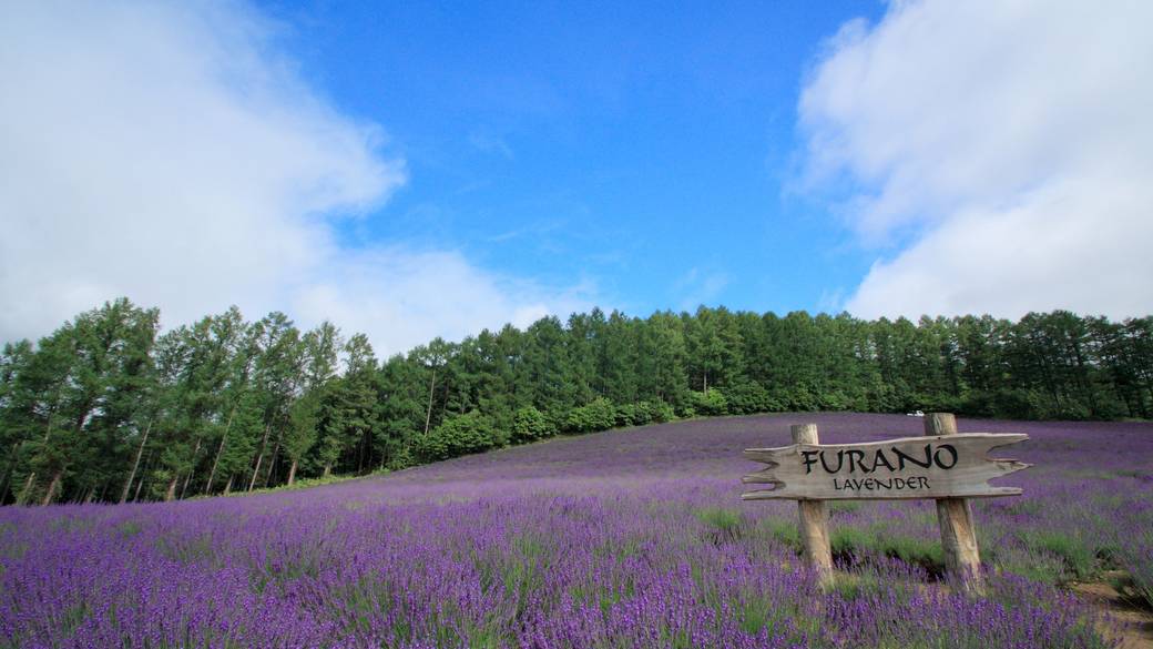 ふらのワインハウス / 3