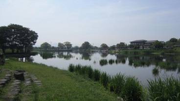 施設の敷地 / 30