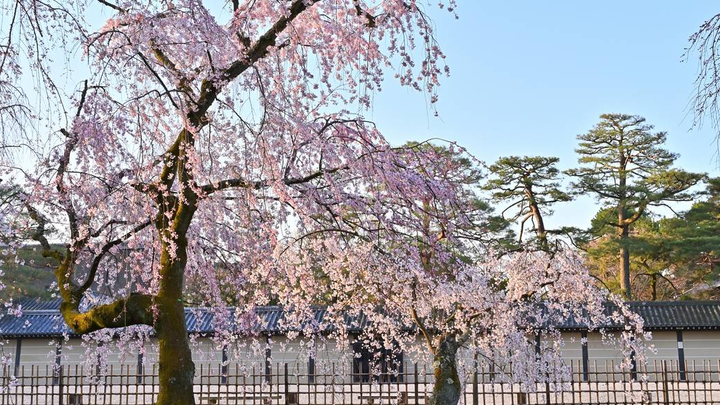 春の様子 / 4