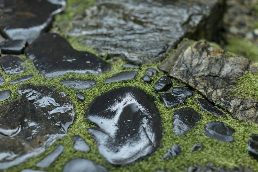 庭園