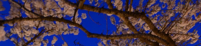 彼とお花見温泉旅♡ふたりで楽しめる「花見露天風呂」がある宿8選