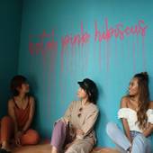 HOTEL PINK HIBISCUS（宮古島）（沖縄県 リゾートホテル） / 2