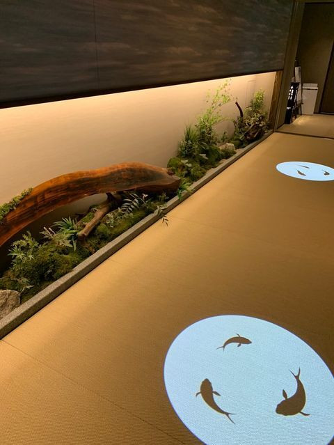 nyaaaangorogoro2さんの写真 / 1