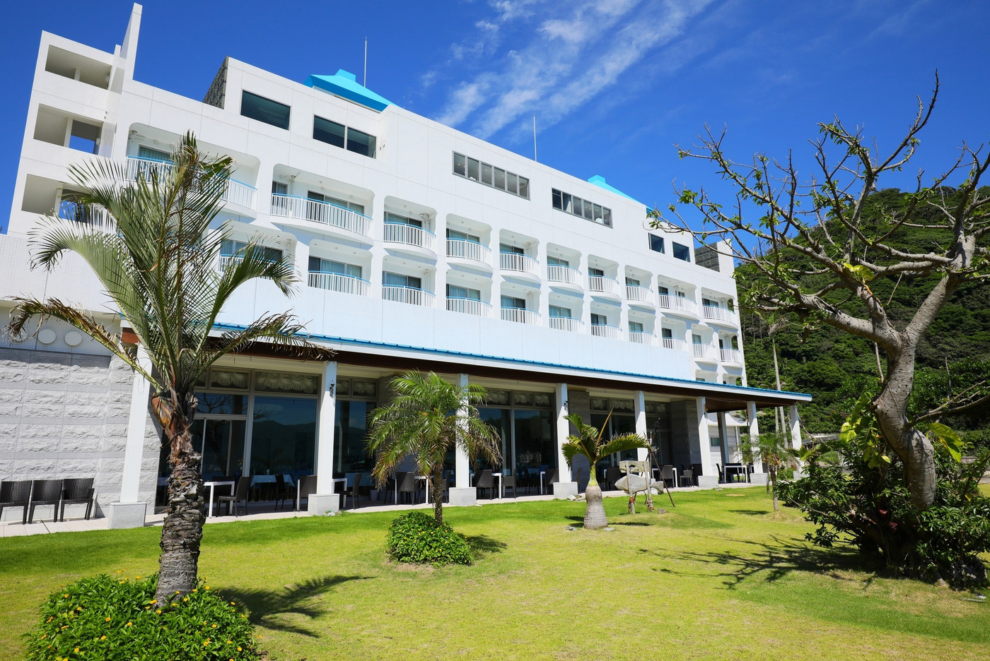 四方を海に囲まれた静かな小島でのんびり3493677